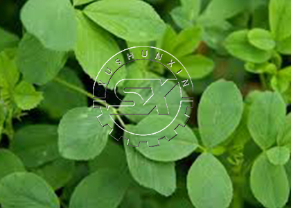 alfalfa pellet raw material for granulator
