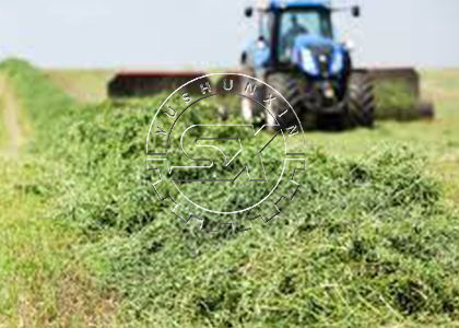 alfalaf pellet raw material for granulator
