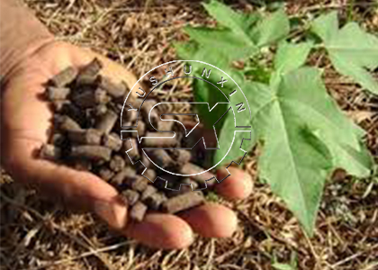 granulator for biomass pellet