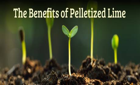 Benefits of using limestone pellets