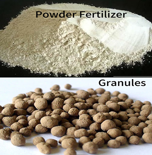 powder granules
